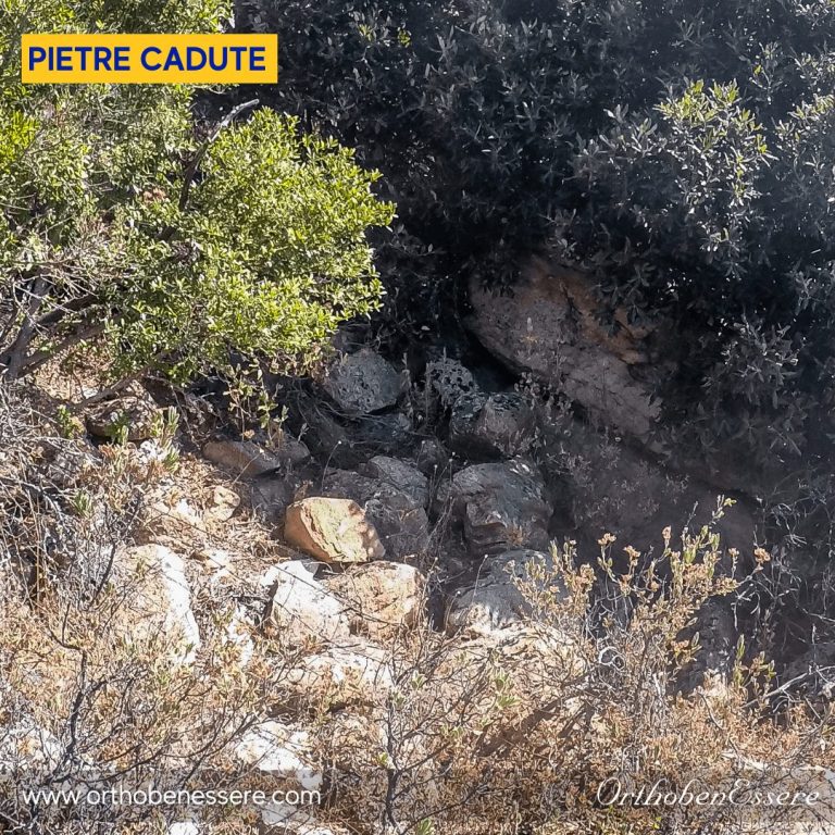 Pietre cadute
