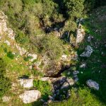 DJI_0125