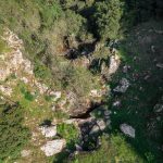 DJI_0126